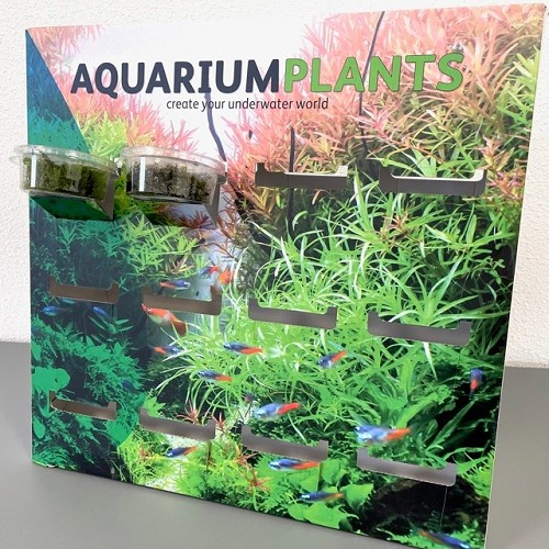 Aquascaping displaybox